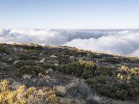 the mountains in the distance are covered in low clouds and brush, and there is a bench at the top