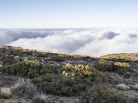 the mountains in the distance are covered in low clouds and brush, and there is a bench at the top