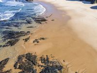 a sandy beach with some rocks near the water and water plants on the shore shore