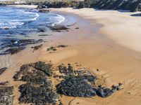 a sandy beach with some rocks near the water and water plants on the shore shore