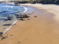 a sandy beach with some rocks near the water and water plants on the shore shore