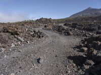 Elevated Tenerife: Clear Sky and Mountain Landscape