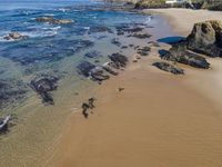 a beach with rocks and water in a sandy area next to the ocean and several other animals