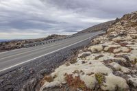 Elevated View of an Asphalt Thoroughfare