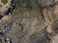 the aerial view of a beach and some rocks from above in the wild area of a coastal park