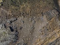 the aerial view of a beach and some rocks from above in the wild area of a coastal park