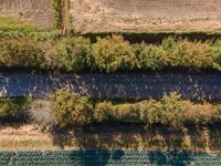 Elevated View of Green Fields in Holland