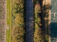 Elevated View of Netherlands' Green Landscape