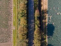 Elevated View of Netherlands' Green Landscape