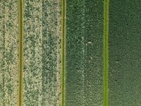 Elevated View of Rural Landscape in the Netherlands