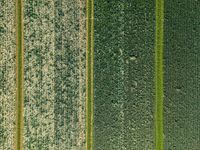 Elevated View of Rural Landscape in the Netherlands