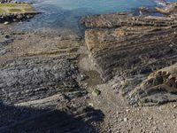 a bird sitting on the shore by itself at the edge of a cliff near a beach