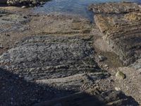 a bird sitting on the shore by itself at the edge of a cliff near a beach