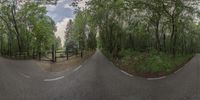 three - dimensional view of road through trees with black gate near roadway in wooded area