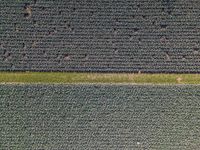 an aerial photo of a tractor pulling hay behind a cropping field with the green grass in front