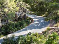 Elevated Walkway in the Balearic Islands