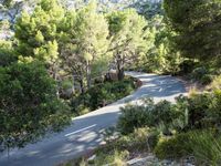 Elevated Walkway in the Balearic Islands