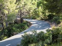 Elevated Walkway in the Balearic Islands