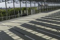 Elevated Walkway in Toronto City