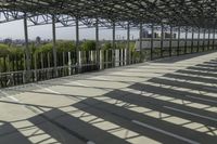 Elevated Walkway in Toronto City