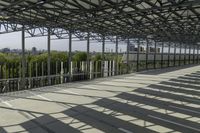 Elevated Walkway in Toronto City