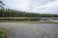 Elevated Wooden Bridge on a Coastal Plain