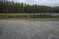 Elevated Wooden Bridge on a Coastal Plain