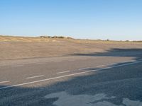 an empty asphalt road on a sunny day, with a lone tree in the middle