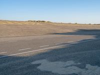 an empty asphalt road on a sunny day, with a lone tree in the middle