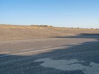 an empty asphalt road on a sunny day, with a lone tree in the middle