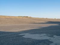 an empty asphalt road on a sunny day, with a lone tree in the middle