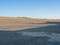 an empty asphalt road on a sunny day, with a lone tree in the middle