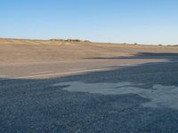 an empty asphalt road on a sunny day, with a lone tree in the middle