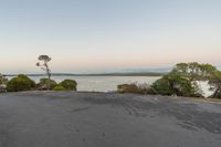 an empty asphalt road with trees on top at the lake's edge and a beautiful sky