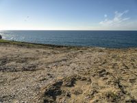 a beach is empty with rocks and some water and birds flying above it on a clear, sunny day