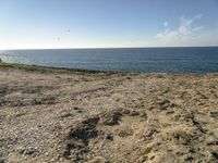 a beach is empty with rocks and some water and birds flying above it on a clear, sunny day
