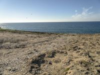 a beach is empty with rocks and some water and birds flying above it on a clear, sunny day