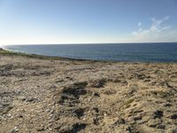 a beach is empty with rocks and some water and birds flying above it on a clear, sunny day