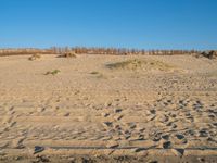 an empty beach with sand covered in grass and rocks and dirt mounds and shrubs, along side the beach