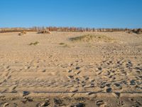 an empty beach with sand covered in grass and rocks and dirt mounds and shrubs, along side the beach