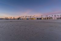 an empty beach with sand, palm trees, and sunset lighting in the distance is a beach, palm trees in the foreground, sand, there are houses on the beach area with a small footprints,