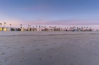 an empty beach with sand, palm trees, and sunset lighting in the distance is a beach, palm trees in the foreground, sand, there are houses on the beach area with a small footprints,