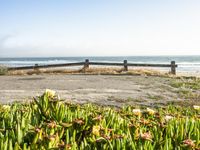 an empty bench sitting next to a fence and beach with plants growing out of the sand