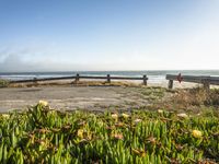 an empty bench sitting next to a fence and beach with plants growing out of the sand