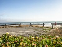 an empty bench sitting next to a fence and beach with plants growing out of the sand