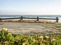 an empty bench sitting next to a fence and beach with plants growing out of the sand