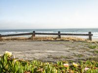 an empty bench sitting next to a fence and beach with plants growing out of the sand