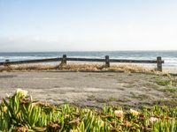 an empty bench sitting next to a fence and beach with plants growing out of the sand