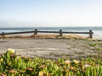 an empty bench sitting next to a fence and beach with plants growing out of the sand