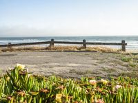 an empty bench sitting next to a fence and beach with plants growing out of the sand